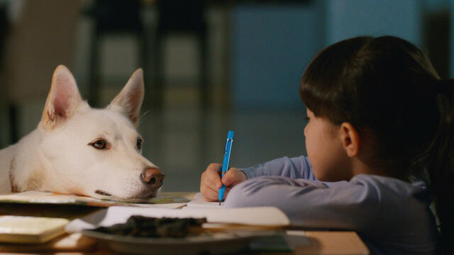 Netflix映画『ジューン＆コピ』独占配信中