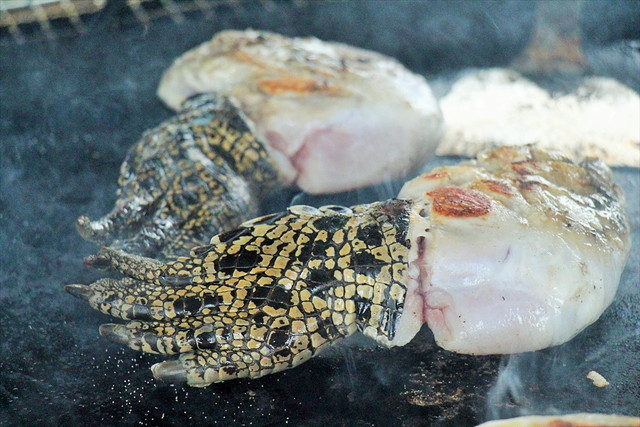 ワイルドバーベキュー／ワニ肉