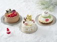 東京駅「東京ギフトパレット」予約なしで当日購入できるクリスマスケーキ