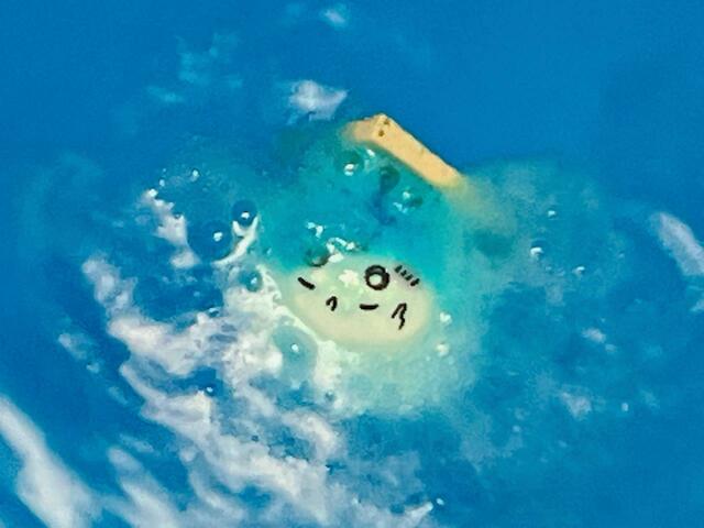 2つ目を投入。この白い顔は…