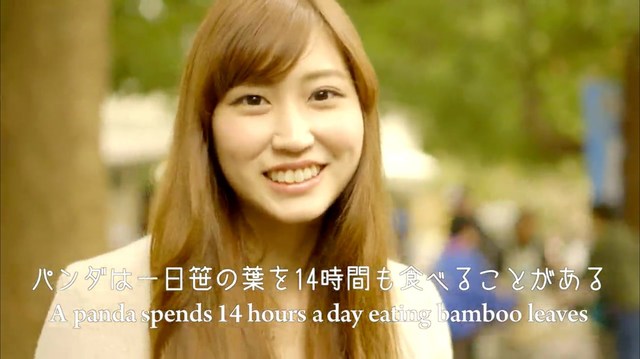 パンダは一日笹の葉を14時間も食べることがある