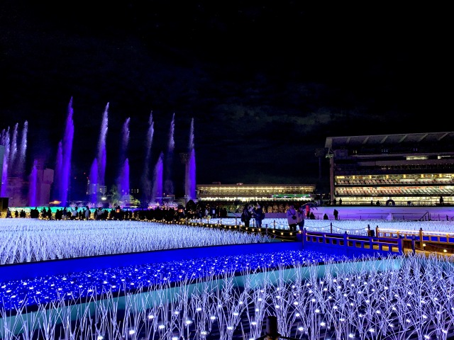 田園・水田をテーマにしたイルミネーション