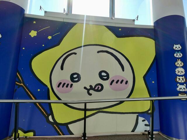 食いしん坊のうさぎ。隣で捕まえられそうになっているポーズで写真を撮っても楽しそう♪