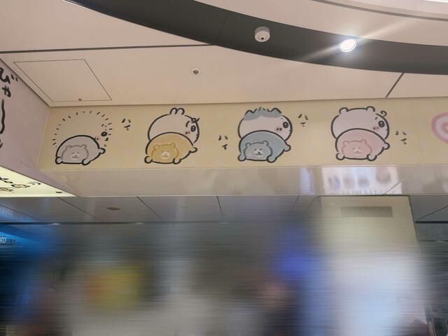 天井の近くも気を抜かずにチェックしましょう♪