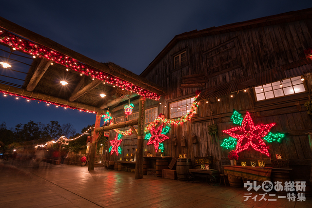ロストリバーデルタのフィエスタ・デ・ラ・ルース｜東京ディズニーシー2017年「クリスマス・ウィッシュ」