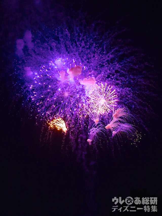 ブランニュードリーム｜東京ディズニーリゾート35周年“Happiest Celebration! ”