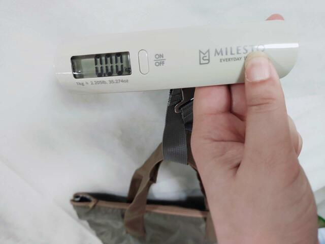 重さは測定不能なほど軽い