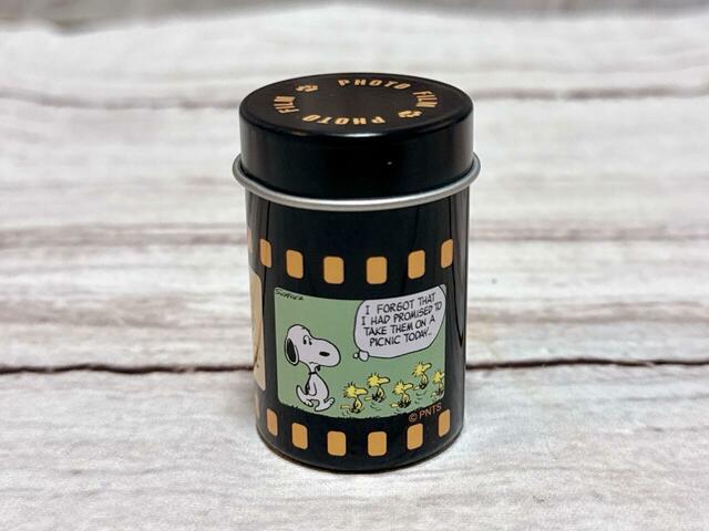 ウッドストックたちをピクニックに連れて行ってあげると言っていたのに忘れてしまったスヌーピー。表情がかわいいです♪