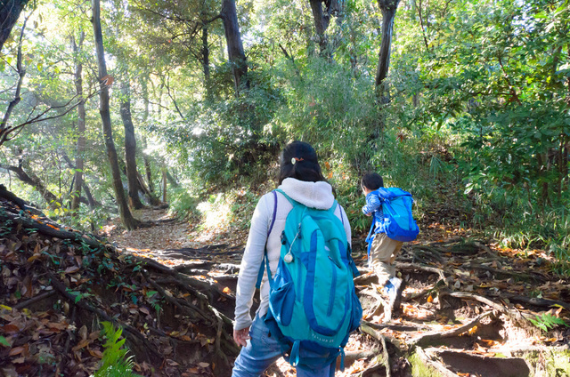 源氏山へのハイキングコース