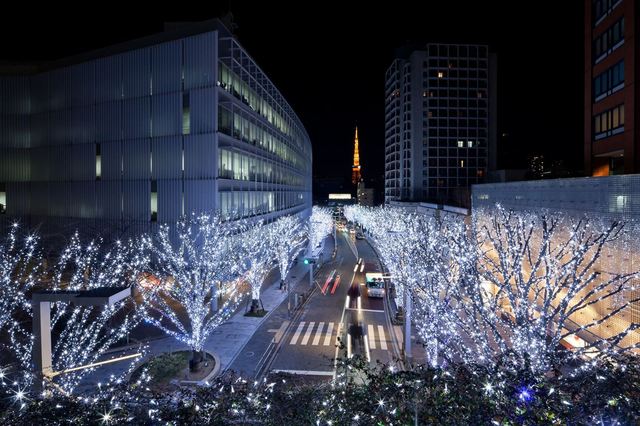 約400mの並木道を彩る「けやき坂Galaxyイルミネーション」は六本木の冬の風物詩となっている（六本木ヒルズ）