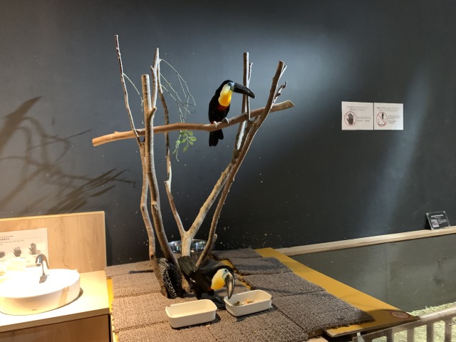 柵などの隔たりがなくてドキドキ！