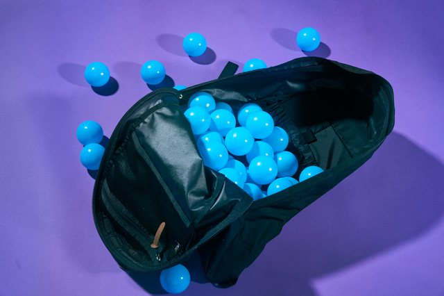 【GREGORY】DAY PACK   ￥30,800