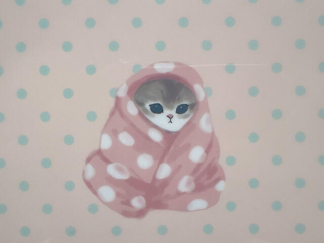 水玉のブランケットに包まれるにゃんこ。守りたいかわいさ…!