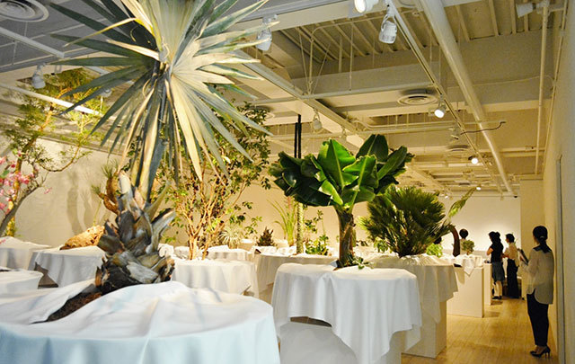 「ウルトラ植物博覧会」で展示されている植物たち