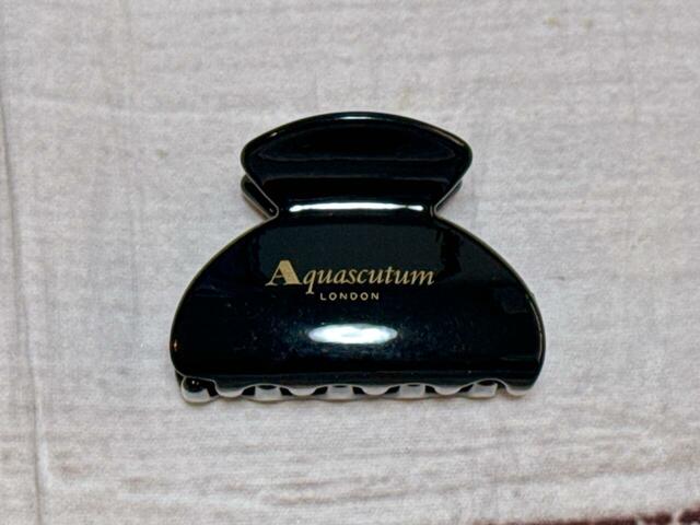 2：アクアスキュータム　ヘアクリップ