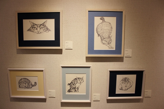 可愛くてキュンキュンする「吉祥寺ねこ祭り」の猫たち