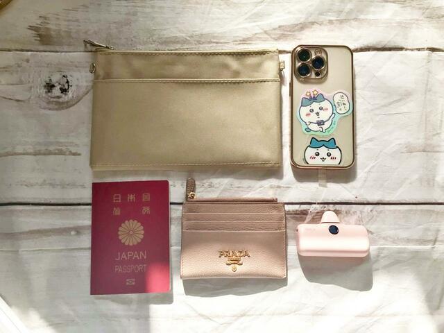 ポーチにはこれだけのものが入ります！