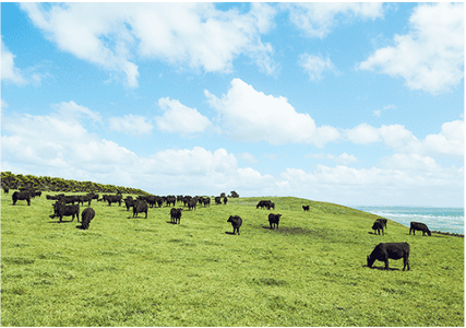 びっくりドンキー