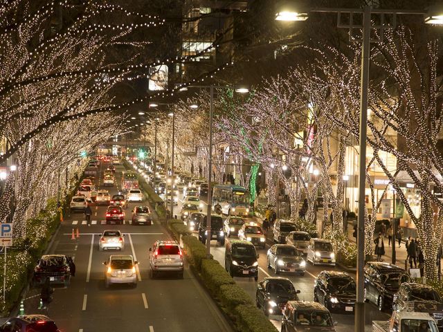 東京を代表する名物イルミとして外せないスポットになっている（表参道ケヤキ並木）