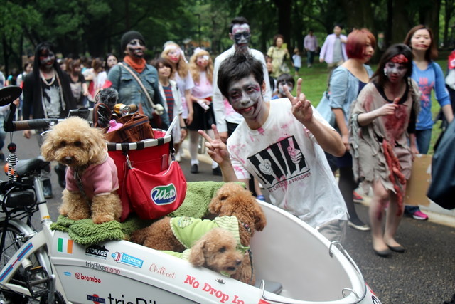 ゾンビウォーキング／犬、怖くないのかな…