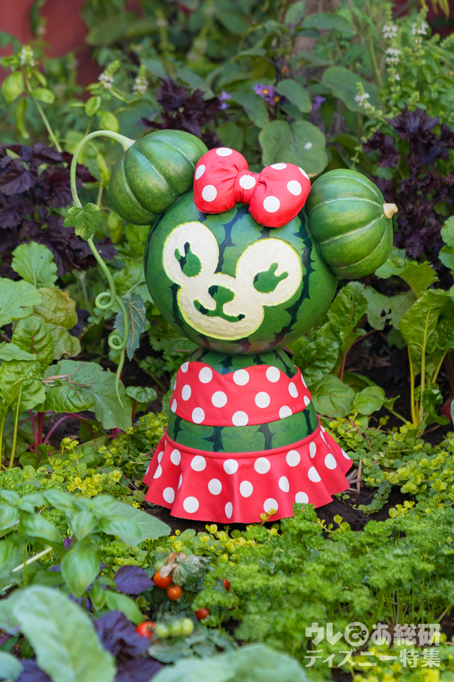 「ダッフィーのサニーファン」デコレーション