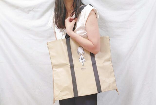 落ち着いた色でまとめて、大人カジュアルに【リンネル：2023年10月号増刊】付録：SNOOPY（スヌーピー）2wayレジャーシートバッグ