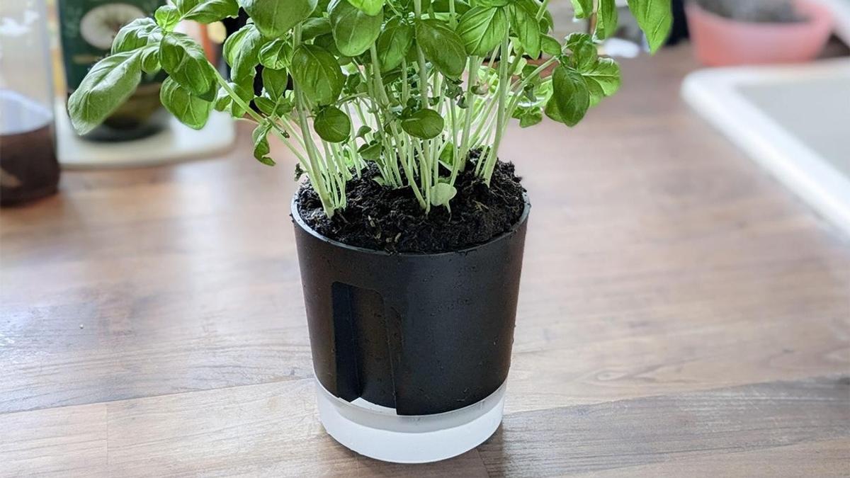 IKEAの「枯らさない植木鉢」のおかげで、水のやり忘れ・水のやりすぎの