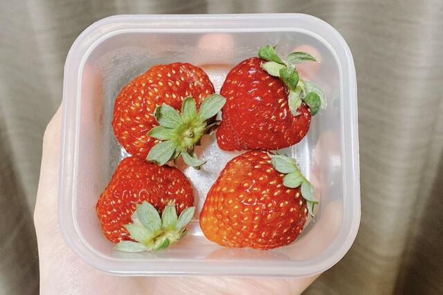 【ニトリ フレッシュキーパークラリー】入れ物にもイチゴにも水滴がついている