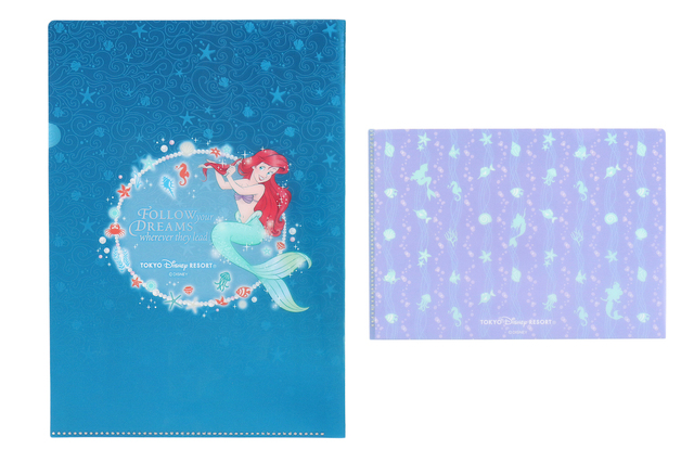 クリアホルダーセット　A4、A5　2枚セット 500円