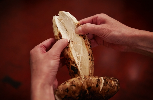 松茸屋 銀座 魚松