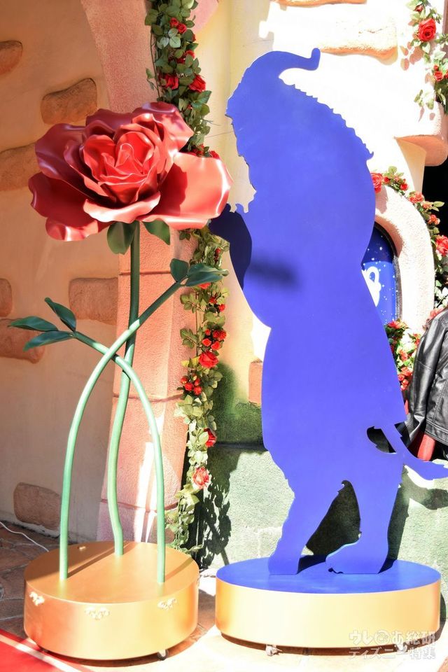 迫力のあるビーストのシルエットと、大きな魔法のバラ。夜はロマンチックに輝きます。