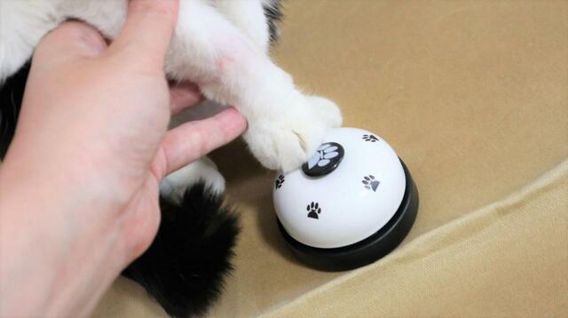 【ペット用コールベル】ほら、ここを押すと「チ～ン♪」で、おやつだよ