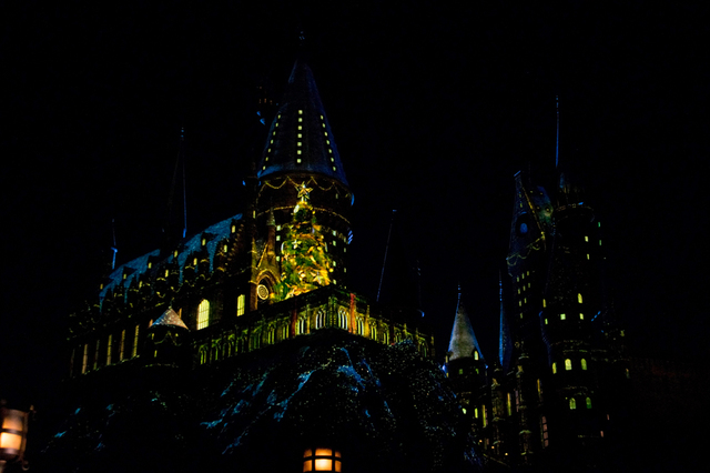 ホグワーツ・マジカル・ナイト 〜ウインター・マジック〜｜ウィザーディング・ワールド・オブ・ハリー・ポッター｜ユニバーサル・スタジオ・ジャパン