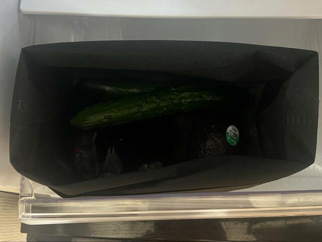【ニトリ　抗菌野菜収納袋】きゅうりやアボカドなどの野菜もそのまま収納OK