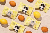 【ねこねこ　ねこねこレモンケーキ】夏にぴったりなレモンケーキ　1個280円（税込み）