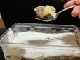 【くらしにベルク　ベルteaラミス　焙煎ほうじ茶】スプーンですくうと、なめらかな口どけが伝わってきます