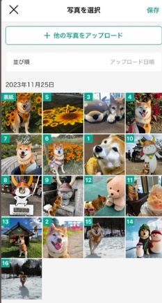 【おすすめ無料フォトブック3選】アプリ上で写真を選ぶだけで、簡単にフォトブック作成ができる