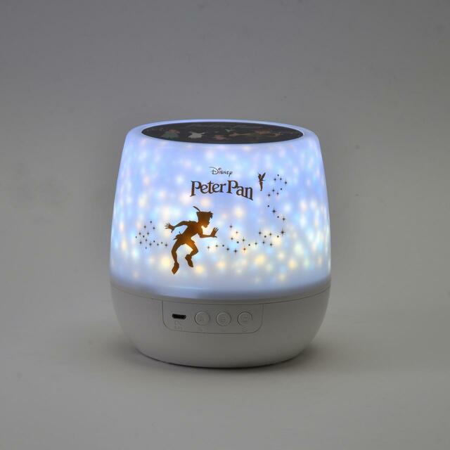 ピーター・パン ルームプロジェクション PETER PAN 70YEARS 4,400円