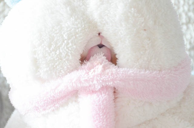 うだまさんちのリクちゃん