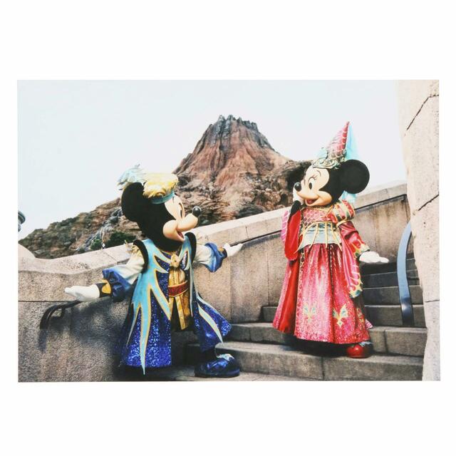 写真 500円|東京ディズニーリゾート・フォトグラフィープロジェクト「イマジニング・ザ・マジック」第2弾グッズ|東京ディズニーリゾート40周年“ドリームゴーラウンド”|発売日:2023年12月7日(木)|販売店舗:東京ディズニーランド「グランドエンポーリアム」、東京ディズニーシー「ヴァレンティーナズ・スウィート」