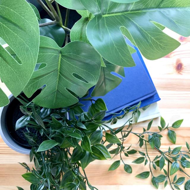 【IKEA（イケア）　フェイクグリーン】本物と見間違えるほどのクオリティのフェイクグリーン