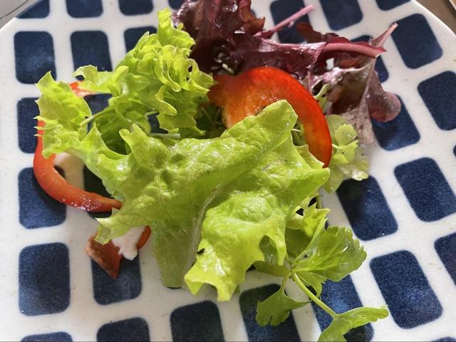 【プランター家庭菜園】自家製のサラダはフレッシュで美味しさも格別！