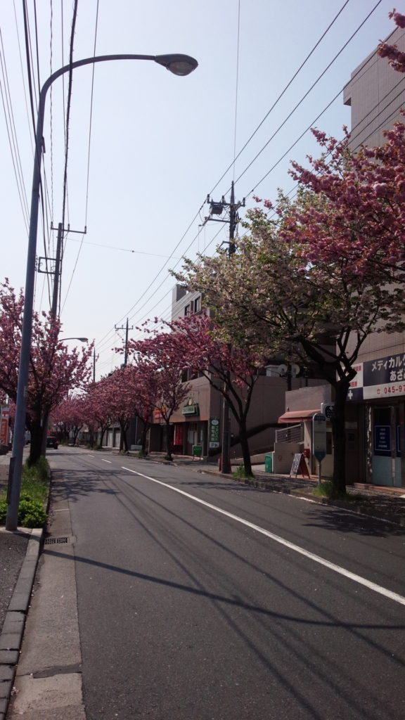 初訪問した時のお店の前の道路です