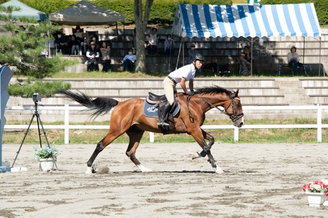 馬の動きに合わせ、ライダーは姿勢を崩さずリズムに乗る。体幹が鍛えられるスポーツというのも納得だ