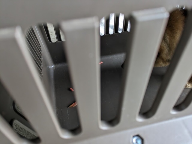 【アイリスオーヤマ ペットキャリー 中型犬用】中に入っているときに次々と好物を与え、「おりこう」などと褒めながら、「中にいるといいことがある」と学習してもらう