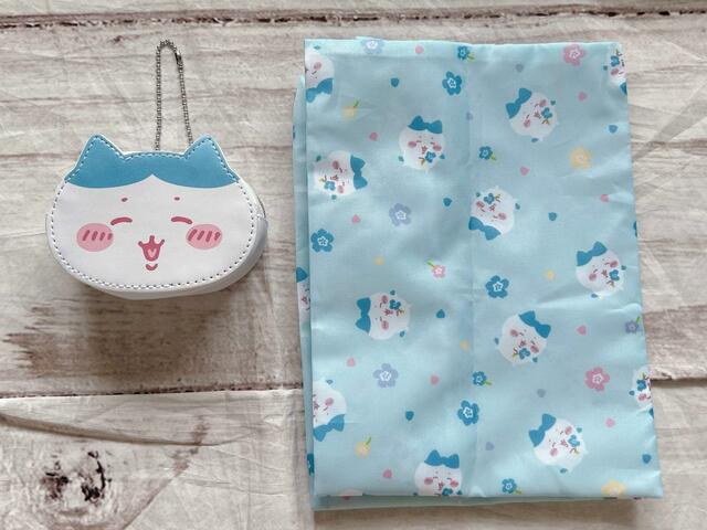 エコバッグを入れられるケース付き！