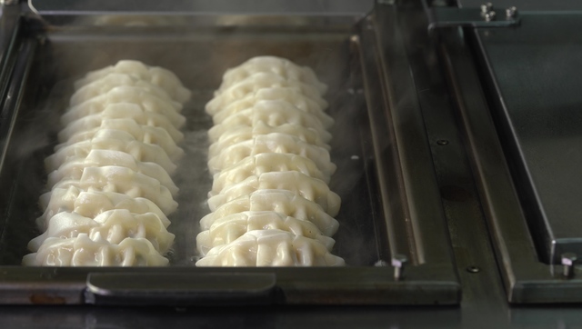 「全日本ぎょうざ祭り」