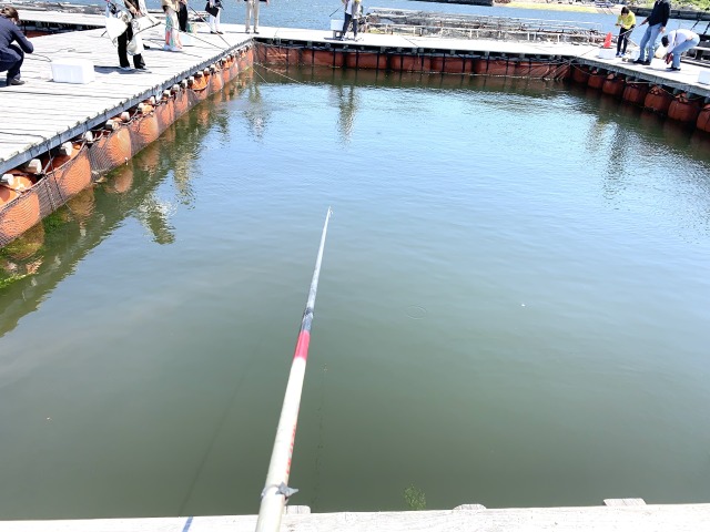 リールのないタイプの釣り竿