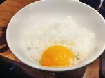 【焼肉ライク 朝焼肉セット】玉子かけごはん(黄身だけバージョン)