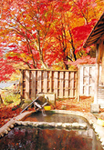 もみじの湯【栃木県】